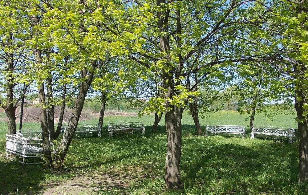 Возле дома-музея А.М. Опекушина в селе Рыбницы