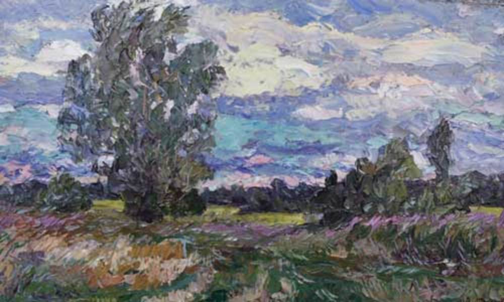 В.В.Теплов. Август. Веретенно. 2004. 90х50. Картон, масло.