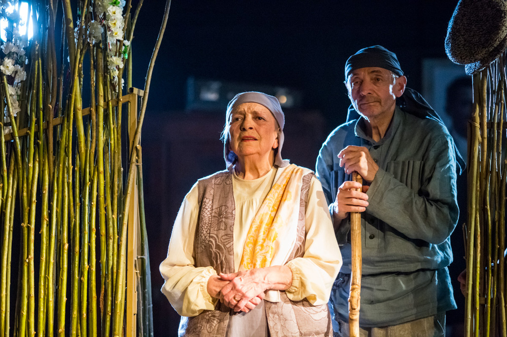 Наталия Терентьева и Валерий Соколов в спектакле "Я, бабушка, Илико и Илларион". Фото Т.Кучариной