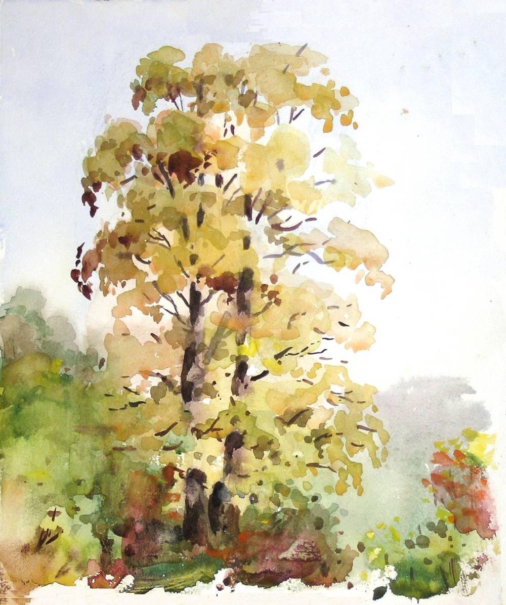 Акварельные работы В.Ф. Марова