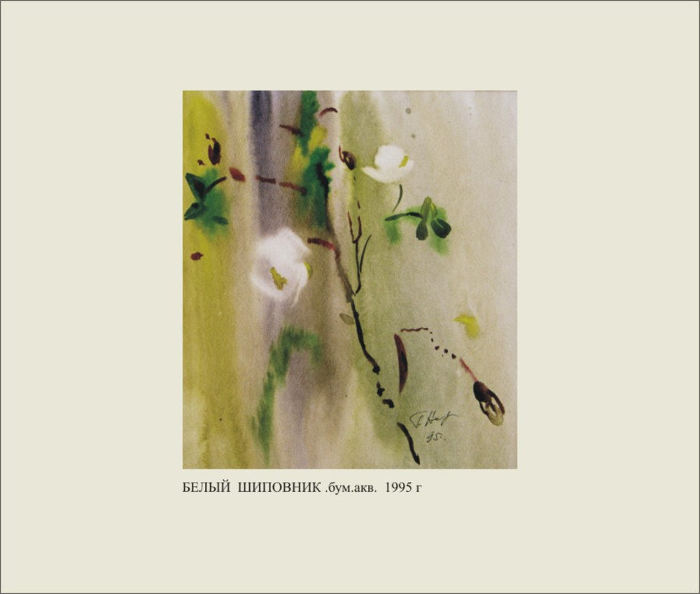 Г.И.Новиков. Белый шиповник. 1995. Бумага, акварель.