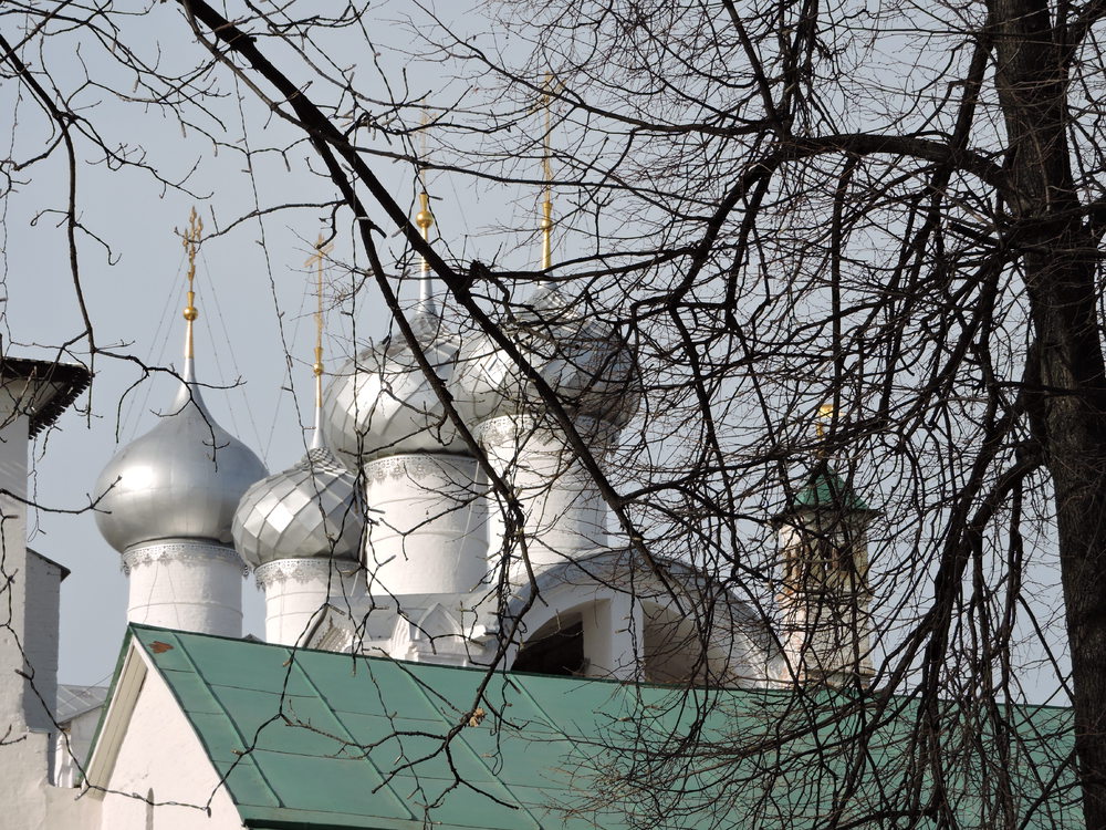 Купола звонницы. Вид с юга. Фото А.Григорьева