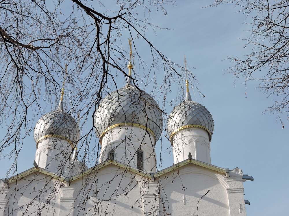 Купола церкви Воскресения Христова. Фото А.Григорьева