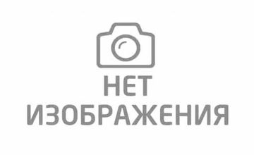 ВАСИЛЬЕВ Дмитрий Николаевич