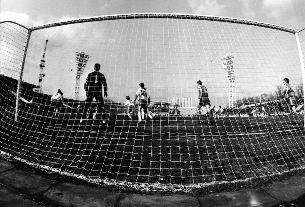 Взгляд из-за ворот. Фото В.Юрасова