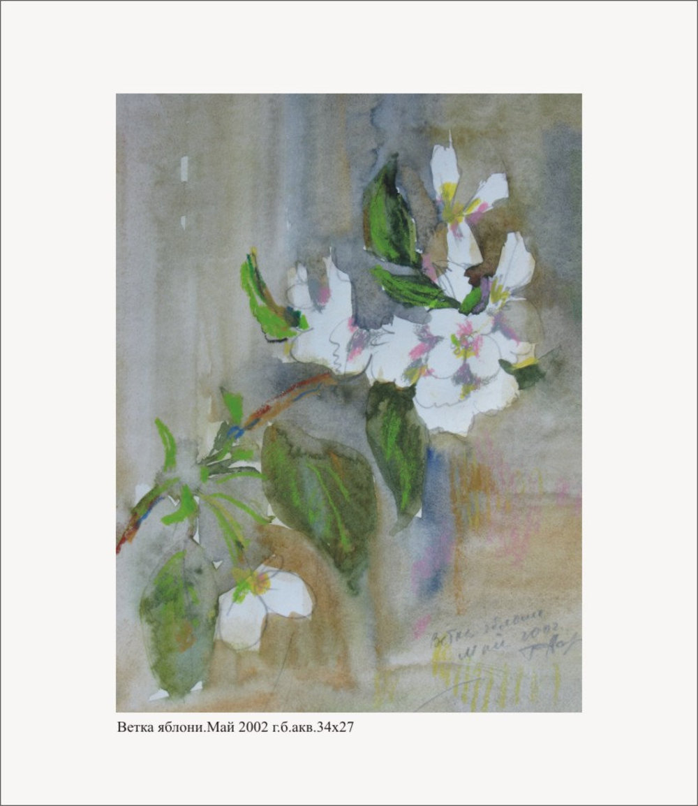 Г.И.Новиков. Ветка яблони. Май. 2002. 34х27 см. Бумага, акварель,