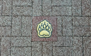 «Медвежья тропа» в Ярославле