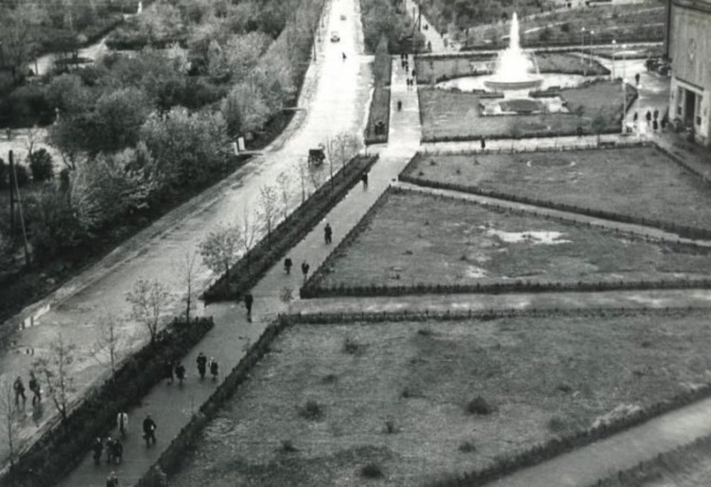 Сквер перед дворцом - первые деревья